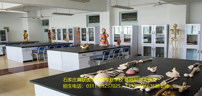 1781058460697830.png jilianh.png